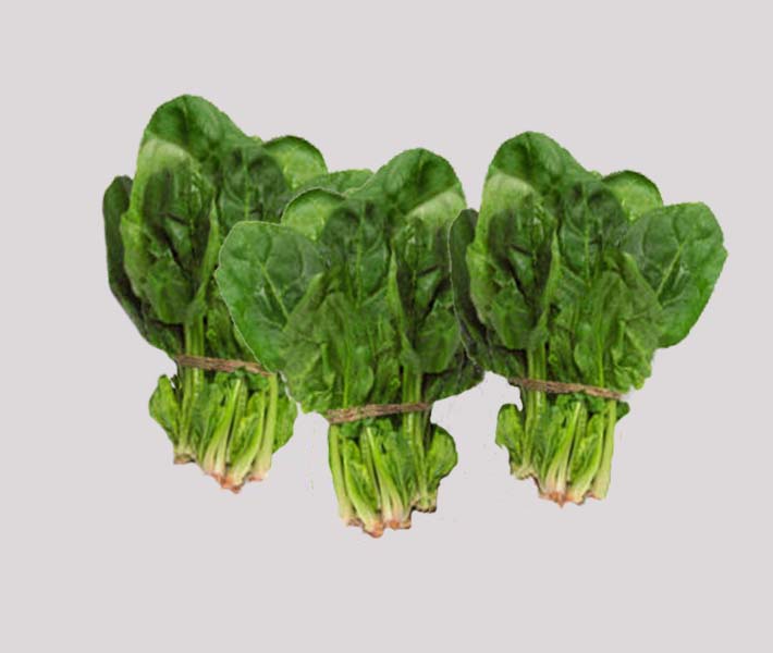 Other products France Salad Baby Spinach Theodore