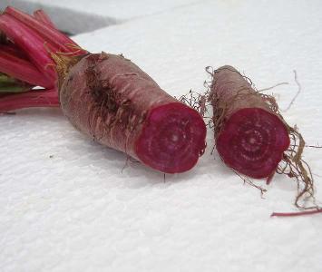 Baby Choggia Beetroot