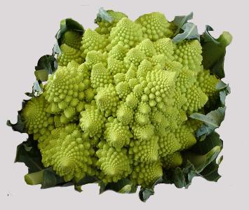 Coliflower Romanesco