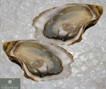 Gillardeau Oyster