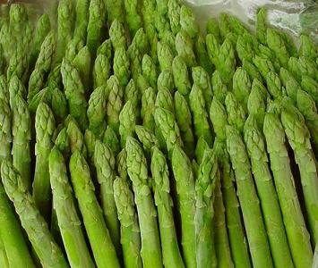 Green Asparagus - France