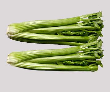 Green Celery 