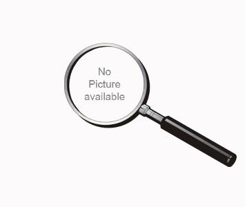 Horn of Plenty Mushrooms