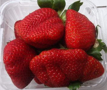 Strawberrys