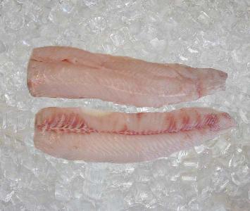 Sturgeon Fillet